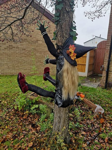 Witch's Broomstick Fails, Sending Her into a Tree